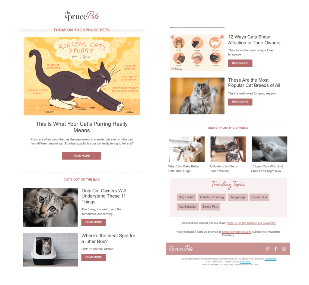 Spruce Pets' newsletter contains trending content about cats