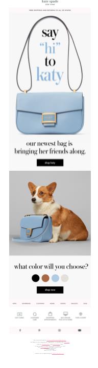 Email by Kate Spade inviting readers to choose favorite color