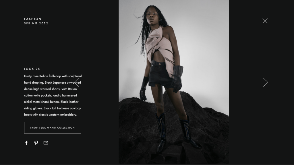 Newsletter by Vera Wang showing high fashion