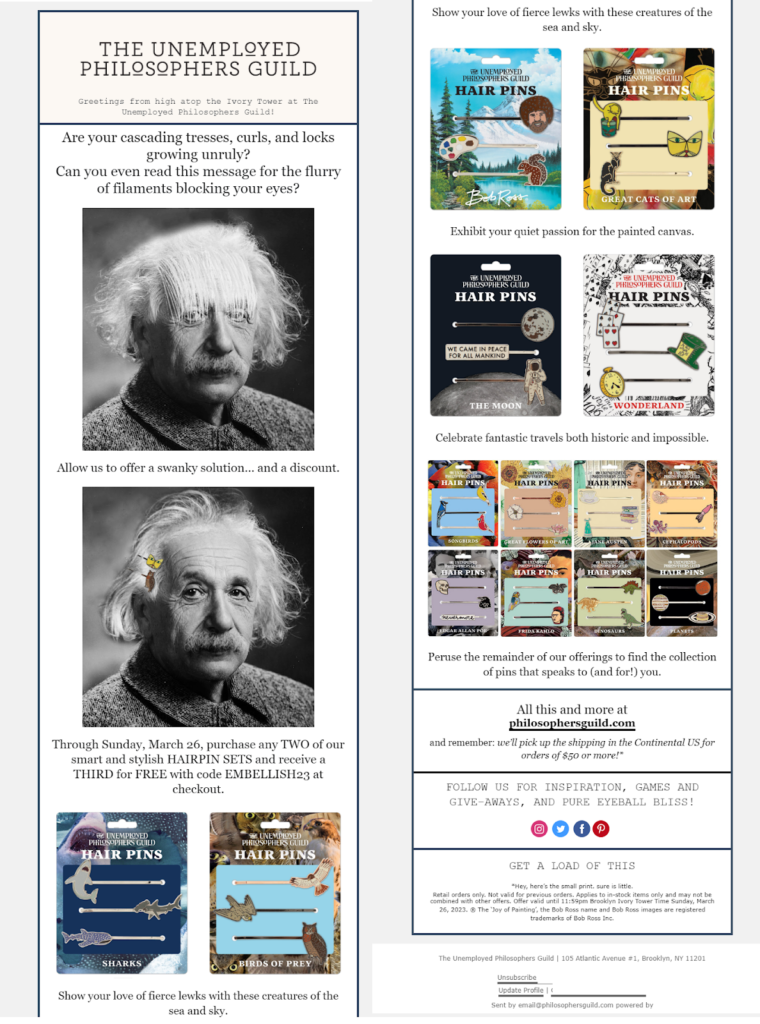 The humorous product promotion email opens with a GIF of Einstein with bangs in face. The solution is the indy B2C brand's hairpins. A second picture shows Einstein wearing the colorful hair pins.